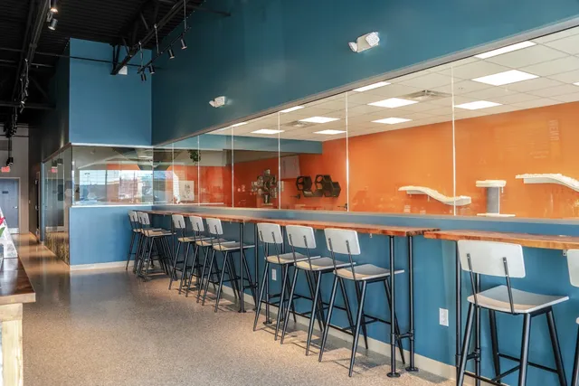 Smitten Kitten Cat Cafe and Coffee Shop