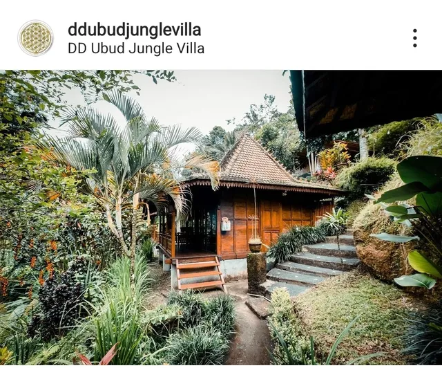 UBUD JUNGLE HOLY WATER