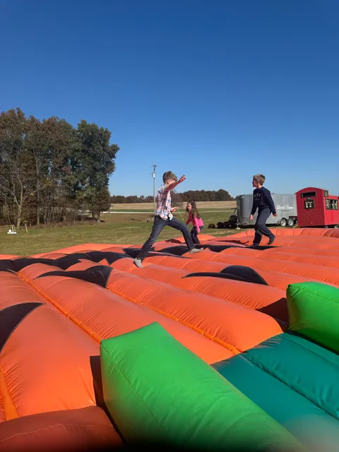 Boots Farms Pumpkins