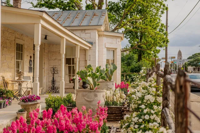 Signor Vineyards | Downtown