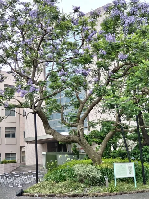 Kanagawa Dental University