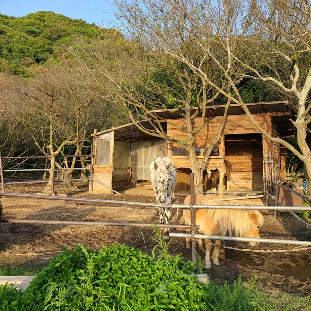 Awajijanohire Outdoor Resort