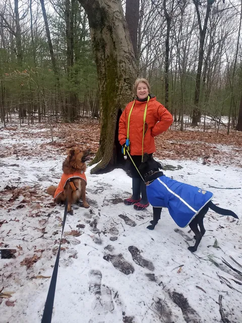 NYS Department of Agriculture & Markets