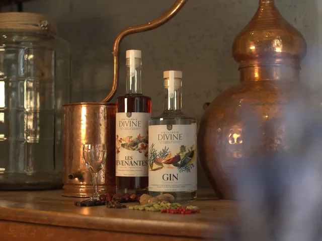 Distillerie Divine