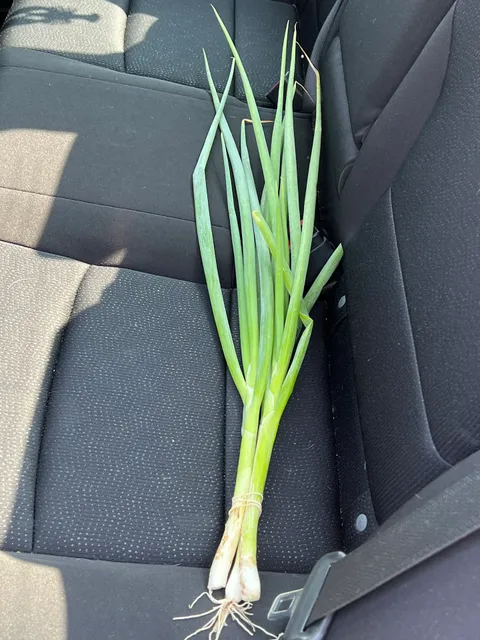 Farmer's Daughters Farm Stand