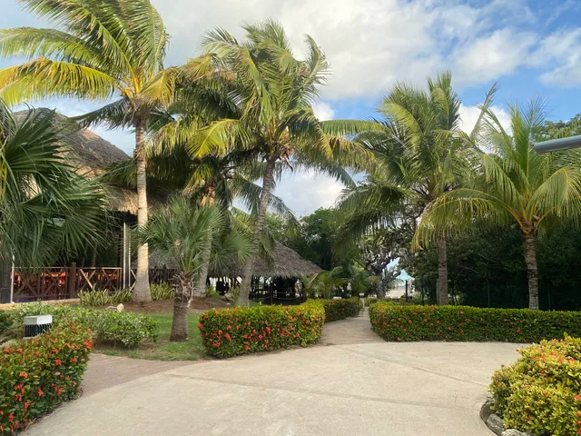 SPA - Valentín El Patriarca