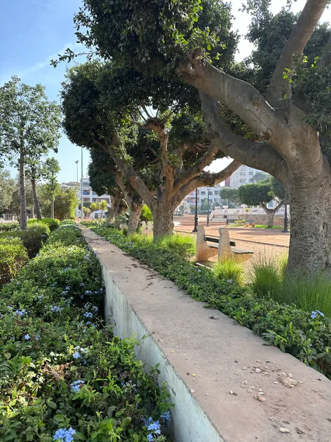 Palestine حديقة فلسطين Garden