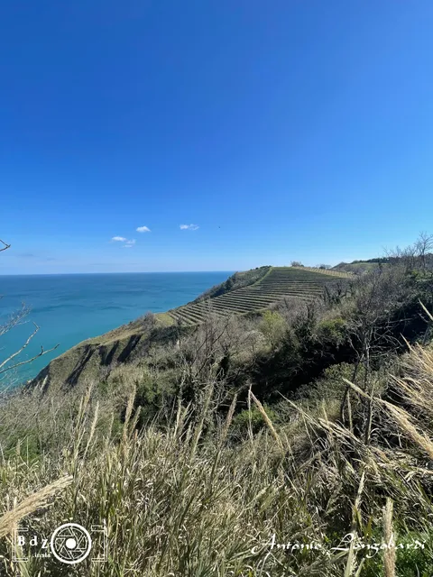 Fiorenzuola di Focara, vista dal Parco del Monte San Bartolo