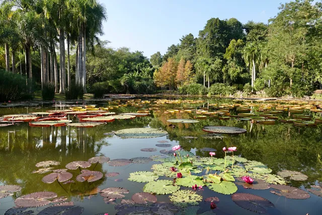 中国科学院西双版纳热带植物园