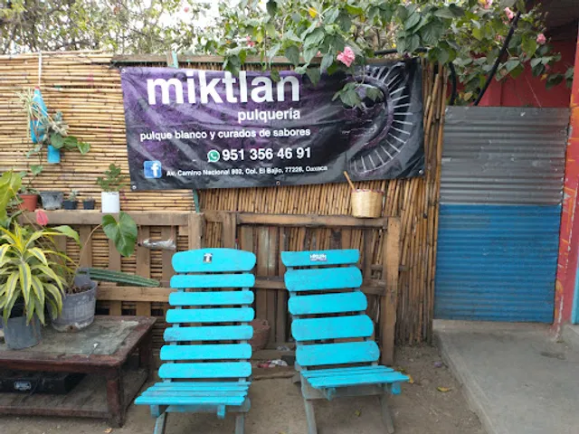 Pulqueria MIKTLAN
