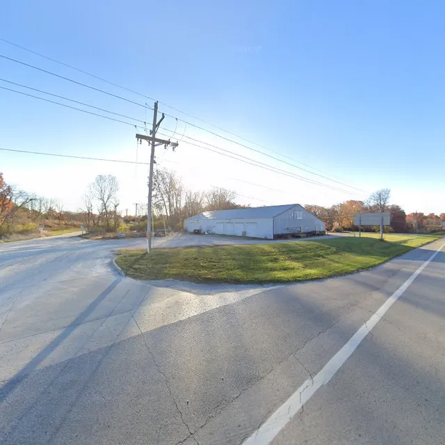 White Goose antiques