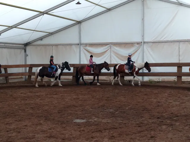 Reiter- & Ferienhof Schumann