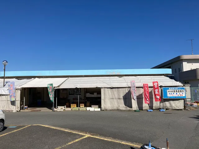 新安浦港直売所