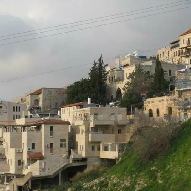 Myrtle the Turtle Guesthouse of Safed