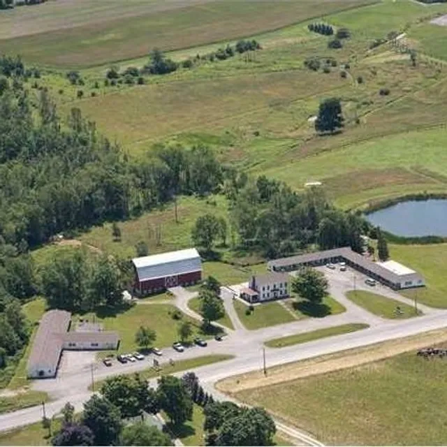 Total Freedom New York