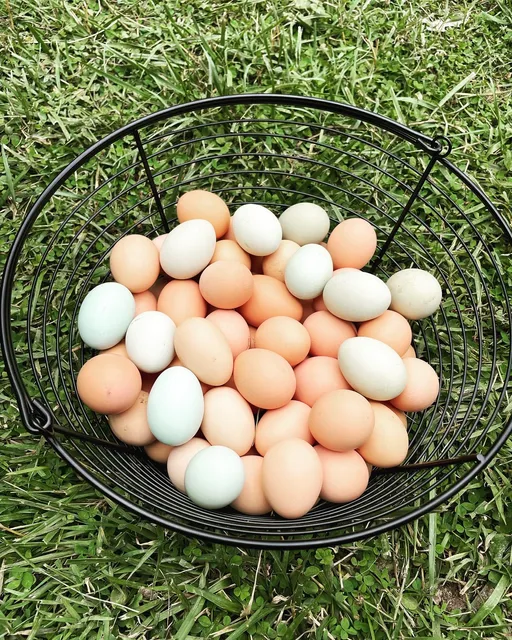 Weathertree Farm & Market