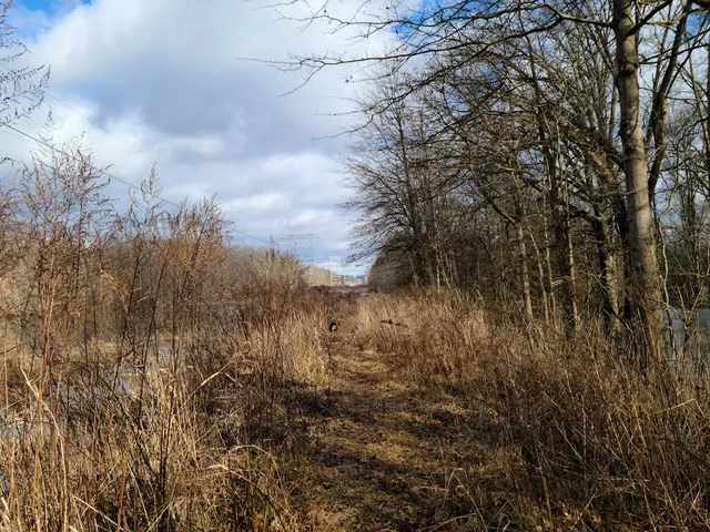 Passaic River County Park
