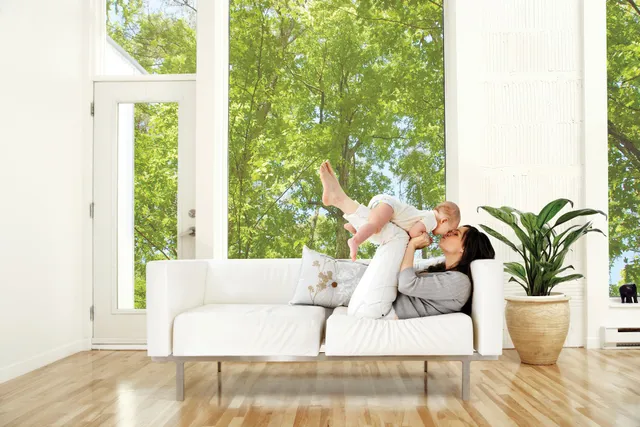 SPECIALIZED WINDOW FILMS