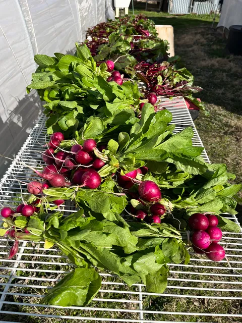The Giving Garden at Jacob's Reward Farm