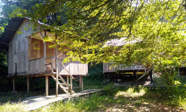 Koka Beach Homestay by Blasius Woda