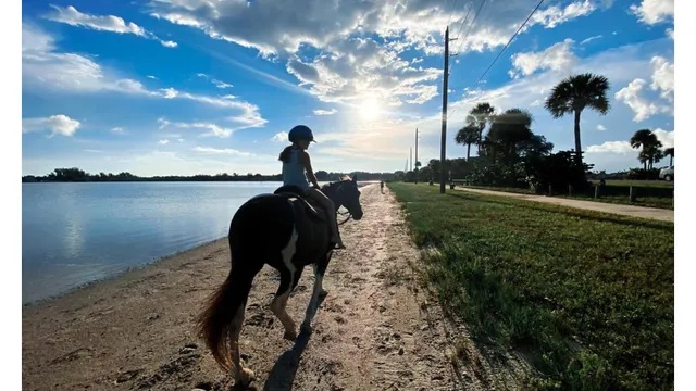 Florida Beach Horses