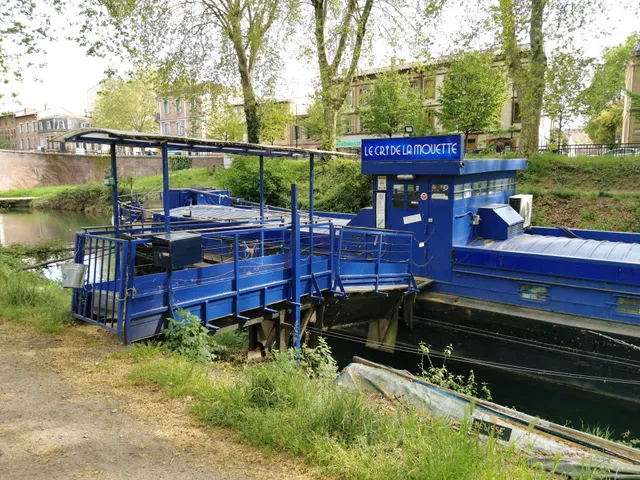 le Cri de la mouette