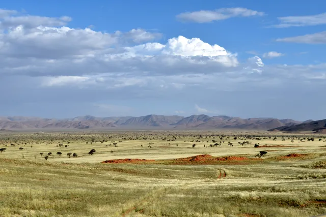 Namib Naukluft National Park