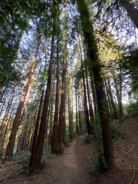 Woodbridge Metcalf Grove