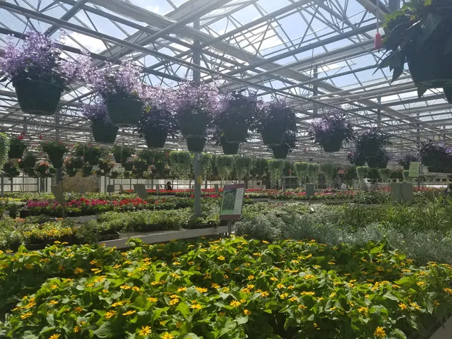 Stanley's Greenhouse