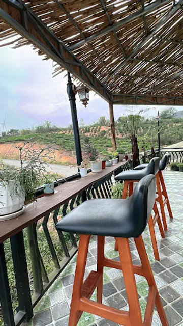 Công Ty TNHH MTV Cau Dat Bean