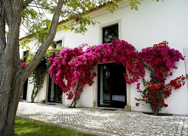 Quinta do Miguel