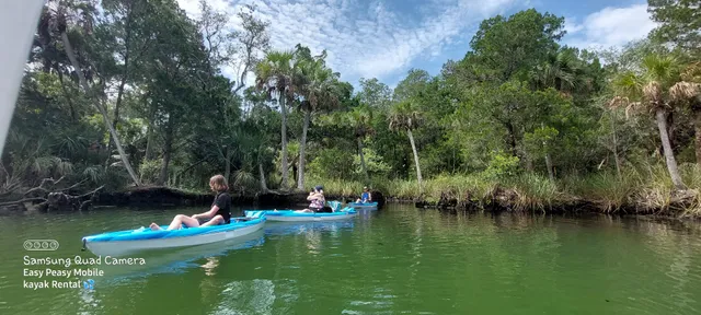 Easy Peasy Mobile Kayak Rental LLC