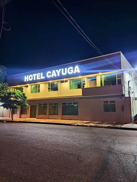 Hotel Cayuga