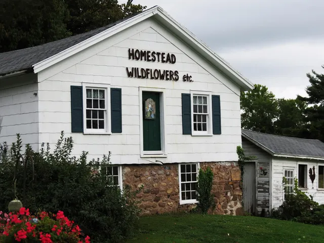 Homestead Wildflowers