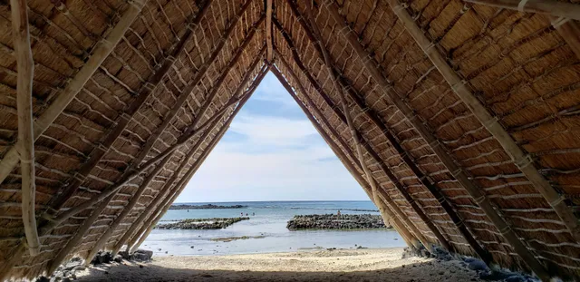Alula Beach - Tiger Sharks