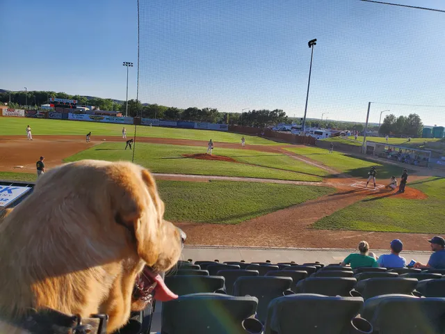 Hyde Baseball Stadium