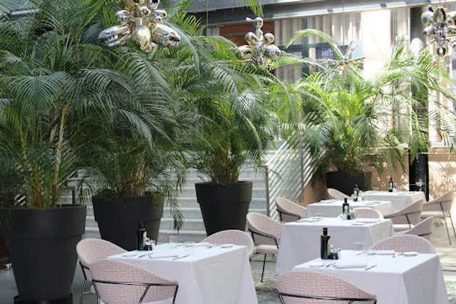 Restaurant Patio
