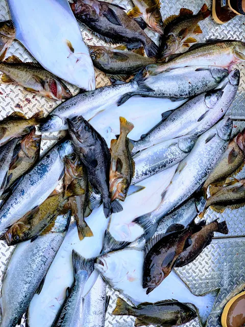 Ketchikan Fishing Expeditions