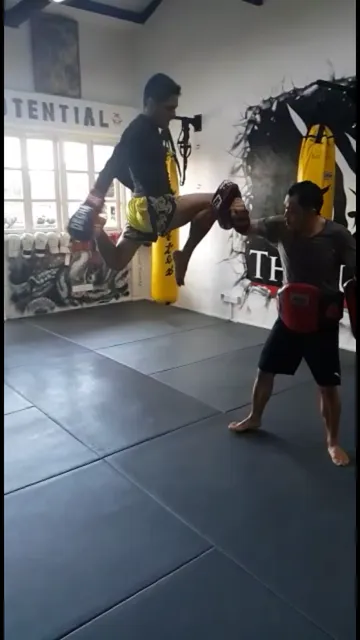 The Jungle MMA