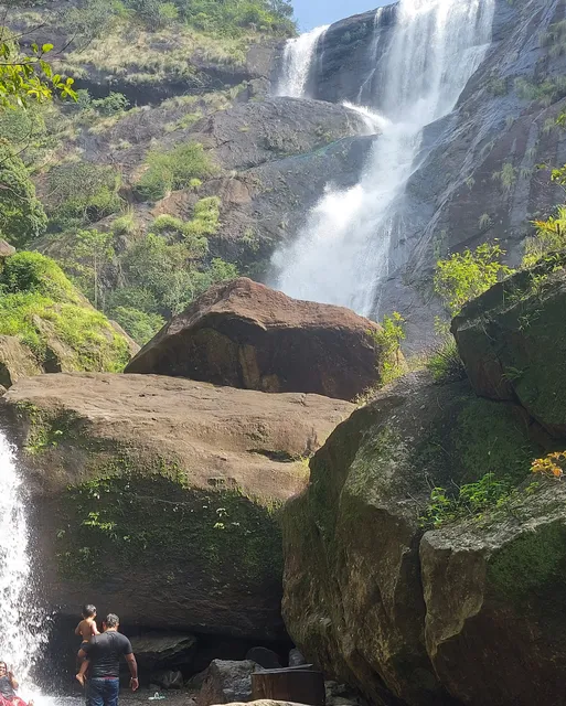 PALARUVI ECO TOURISM CANTEEN
