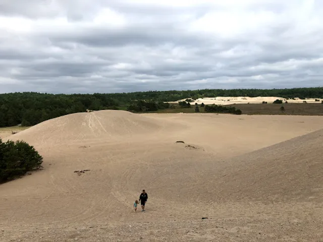 West Greenwich Sand Dunes