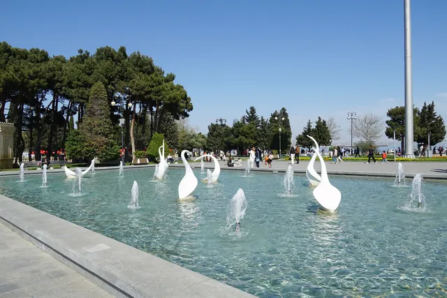 Swans Fountain
