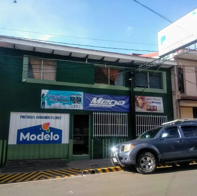 Pinturas Armando Flores