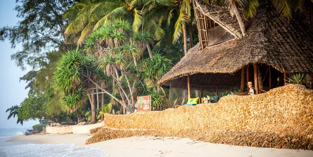 Mbuyu Beach Bungalows