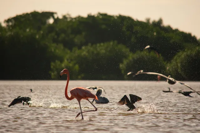 Hostal El Palmar Reserva Natural