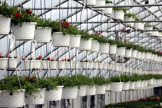 Simons Hancock Farms & Greenhouses