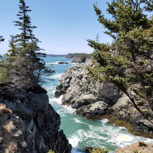 Boot Head Preserve Trailhead