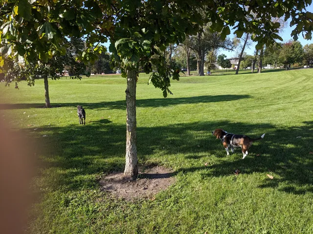 Lincoln Park Dog Park
