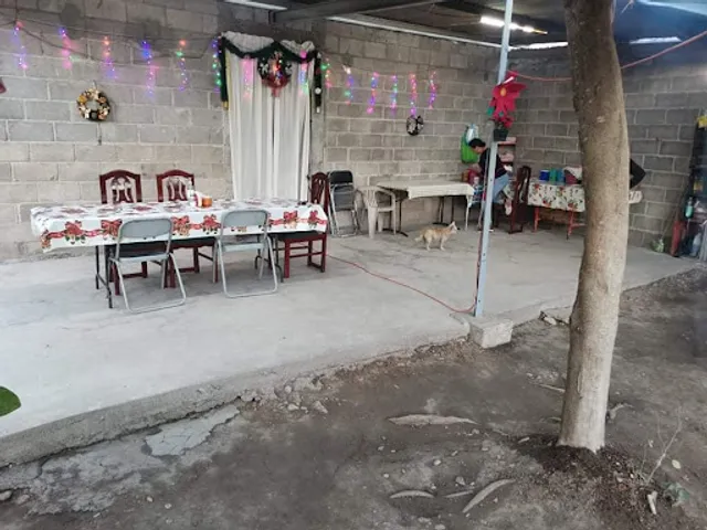 Enchiladas Doña Tere