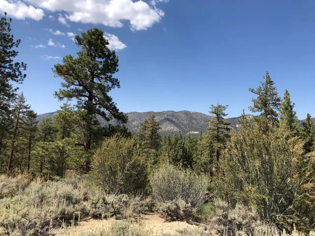 Big Bear Retreat Center